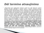 Ypatingoji teisena (skaidrės) 17 puslapis