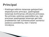 Ypatingoji teisena (skaidrės) 6 puslapis