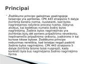 Ypatingoji teisena (skaidrės) 8 puslapis