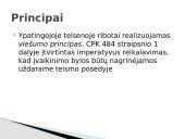 Ypatingoji teisena (skaidrės) 9 puslapis