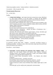 Nemokumo teisė 3 puslapis