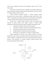 Trakų rajono turizmas 11 puslapis