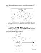 Trakų rajono turizmas 13 puslapis