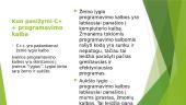 Programavimo kalba  5 puslapis