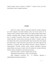 Traktorių ir automobilių sankabos 11 puslapis
