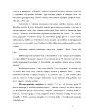 Traktorių ir automobilių sankabos 6 puslapis