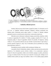 Traktorių ir automobilių sankabos 10 puslapis