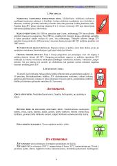 Transmisinės infekcijos - AIDS 4 puslapis