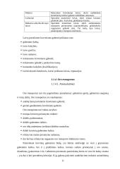 Transportavimas 11 puslapis