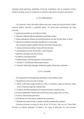 Transportavimas 12 puslapis