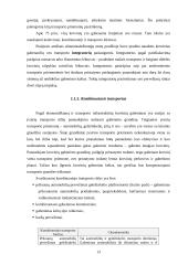 Transportavimas 13 puslapis