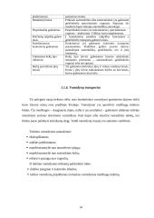 Transportavimas 14 puslapis