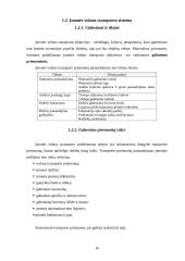 Transportavimas 16 puslapis