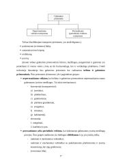 Transportavimas 17 puslapis