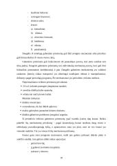 Transportavimas 18 puslapis