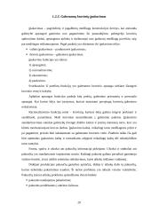 Transportavimas 20 puslapis