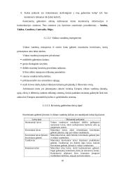 Transportavimas 10 puslapis