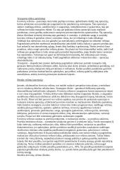 Transportavimas įmonėje 12 puslapis