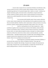 Transportavimas įmonėje 13 puslapis