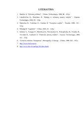 Transportavimas įmonėje 14 puslapis