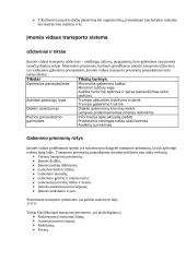 Transportavimas įmonėje 7 puslapis