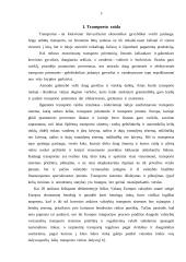 Transporto raida, politika, Romos sutartis 3 puslapis