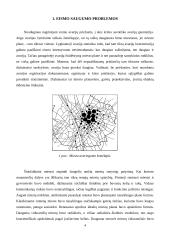 Transporto poveikis aplinkai mieste 3 puslapis
