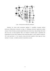 Transporto poveikis aplinkai mieste 5 puslapis