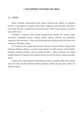 Transporto poveikis aplinkai mieste 6 puslapis