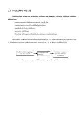 Transporto poveikis aplinkai mieste 7 puslapis