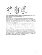 Transporto priemonių tarša aplinkai, profilaktikos priemonės 14 puslapis