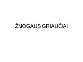 Žmogaus griaučiai. Kaulai 1 puslapis