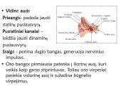 Klausa.  Žmogaus ausies sandara 10 puslapis
