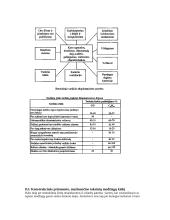 Transporto priemonių variklių įtaka aplinkai 11 puslapis