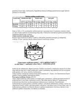Transporto priemonių variklių įtaka aplinkai 12 puslapis