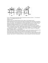 Transporto priemonių variklių įtaka aplinkai 7 puslapis