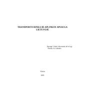 Transporto rinka ir aplinkos apsauga Lietuvoje 11 puslapis