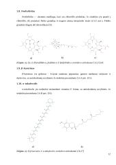 Feofitino-a fototransformacijų tyrimai antioksidantų aplinkoje 11 puslapis
