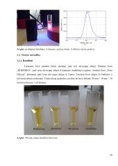 Feofitino-a fototransformacijų tyrimai antioksidantų aplinkoje 17 puslapis