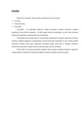 Transporto rūšių plėtros ir sąveikos modeliai 3 puslapis