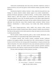 Transporto rūšių plėtros ir sąveikos modeliai 6 puslapis
