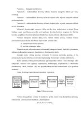 Transporto rūšių plėtros ir sąveikos modeliai 7 puslapis