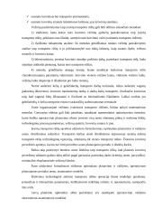 Transporto rūšių plėtros ir sąveikos modeliai 10 puslapis