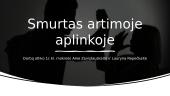 Skaidrės. Smurtas artimoje aplinkoje 1 puslapis