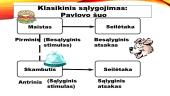 Biheivioristiniu požiūriu pagrįstas mokymas 9 puslapis