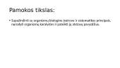 Organizmų biologinė įvairovė 2 puslapis