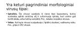 Organizmų biologinė įvairovė 10 puslapis