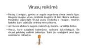 Organizmų biologinė įvairovė 12 puslapis