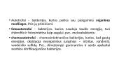 Organizmų biologinė įvairovė 14 puslapis