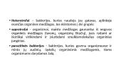 Organizmų biologinė įvairovė 15 puslapis